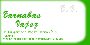 barnabas vajsz business card